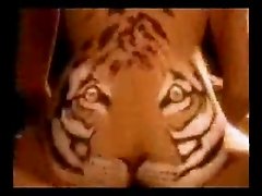 Feed the Tiger - cock eating tiger